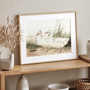 May include: Framed print featuring two white ducks in a field setting. The artwork has a vintage aesthetic, with soft colors and detailed illustrations of the ducks and surrounding vegetation. The frame is a light wood color.
