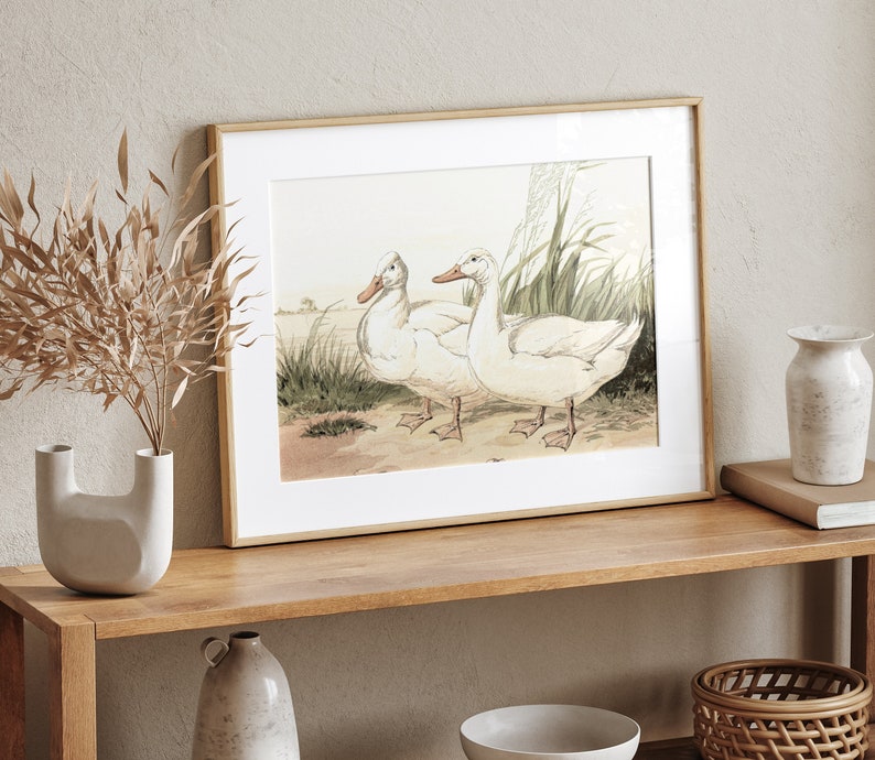 May include: Framed print featuring two white ducks in a field setting. The artwork has a vintage aesthetic, with soft colors and detailed illustrations of the ducks and surrounding vegetation. The frame is a light wood color.