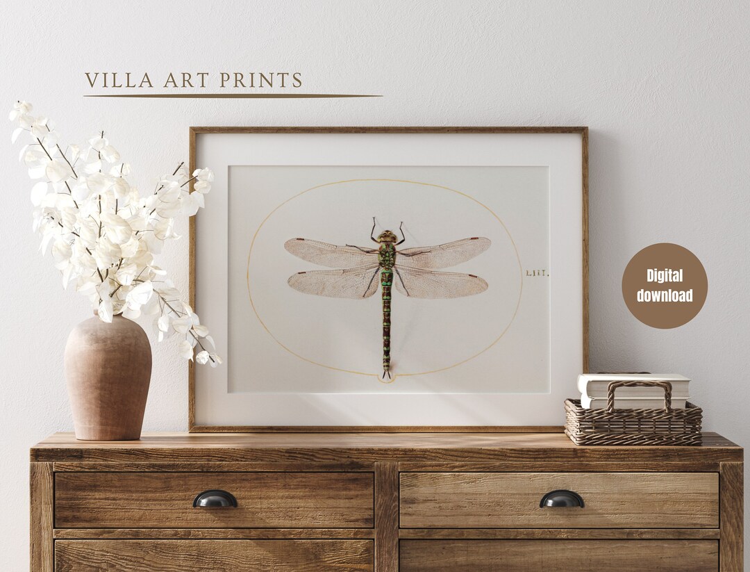 Printable Vintage Dragonfly Print, Neutral Vintage Watercolour Painting ...