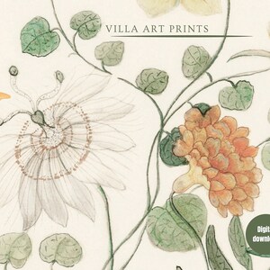 May include: Watercolor botanical print featuring a passionflower, orange butterfly, and other flowers and foliage in shades of white, orange, yellow, and green. The text "VILLA ART PRINTS" is at the top. A digital download is available.