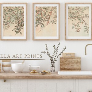 May include: Three framed watercolor prints of a branch of a tree with green leaves and small red apples. The prints are hanging on a white wall above a kitchen counter with a wooden cutting board, a vase of eucalyptus, and a white bowl.