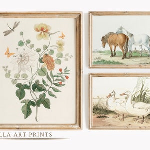 May include: Set of three framed vintage botanical and animal prints. The prints feature a floral arrangement with butterflies and a dragonfly, two horses, and three ducks. The frames are a light wood color, and the text "VILLA ART PRINTS" is at the bottom.