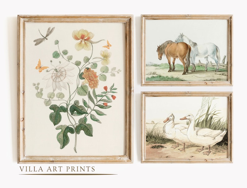 May include: Set of three framed vintage botanical and animal prints. The prints feature a floral arrangement with butterflies and a dragonfly, two horses, and three ducks. The frames are a light wood color, and the text "VILLA ART PRINTS" is at the bottom.