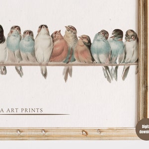 May include: A vintage-style print featuring a row of colorful birds perched on a branch. The birds have various plumage colors, including blue, white, and brown. The artwork is framed in a gold-colored, ornate frame. The text "VILLA ART PRINTS" is visible at the bottom.