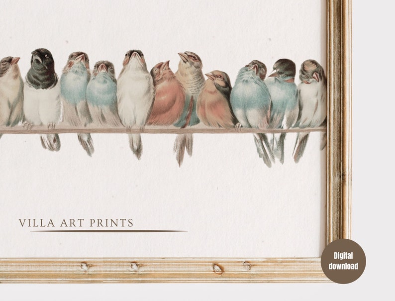 May include: A vintage-style print featuring a row of colorful birds perched on a branch. The birds have various plumage colors, including blue, white, and brown. The artwork is framed in a gold-colored, ornate frame. The text "VILLA ART PRINTS" is visible at the bottom.