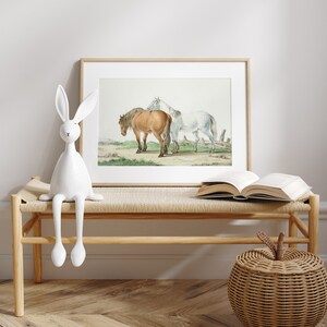 May include: A framed print featuring two horses, one brown and one white, standing in a field. The artwork is displayed on a light wooden bench with a white rabbit figurine and an open book. A woven apple-shaped basket sits nearby.