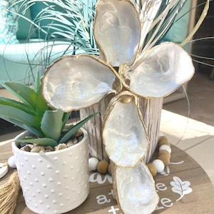 May include: A decorative arrangement featuring large, iridescent oyster shells with gold trim, arranged in a flower-like shape. The shells are set in a wooden vase, with a small potted succulent and decorative beads. The arrangement is on a wooden tray.