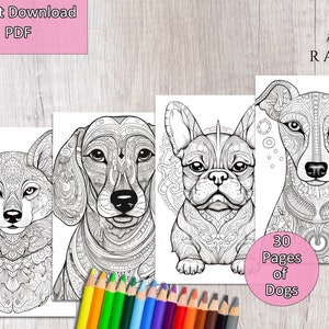 30 Beautiful Dogs - Printable Adult Coloring Pages - Dog Coloring, Mandala Style, Digital File, Instant Download, Printable coloring pages