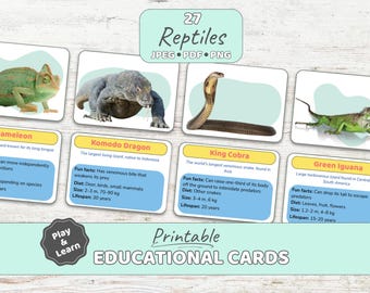 27 Reptiles | Printable Educational Cards | Fun and Engaging Learning Aid | Flashcards for kids | Instant Download | PDF, JPG, PNG