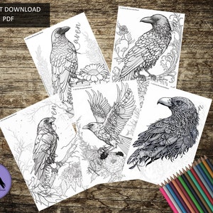 May include: Set of four printable coloring pages featuring detailed illustrations of ravens. Each page includes a raven with intricate designs and patterns, perfect for adult coloring book enthusiasts.