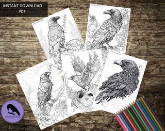 Beautiful Ravens - Volume 3 - Adult Coloring - 5 Pages - Raven, Crow, Corvid, Digital File, Instant Download