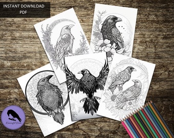 Beautiful Ravens - Volume 2 - Adult Coloring - 5 Pages - Raven, Crow, Corvid, Digital File, Instant Download