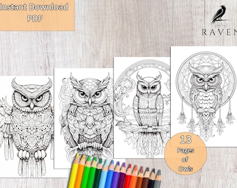 13 Majestic Owls - Printable Adult Coloring Pages - Owl Coloring, Mandala Style, Digital File, Instant Download, Printable Coloring Pages
