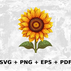 Dibujos animados Girasol Svg Png Eps, uso comercial Gráficos vectoriales clipart para arte de pared, camisetas, sublimación, impresión bajo demanda