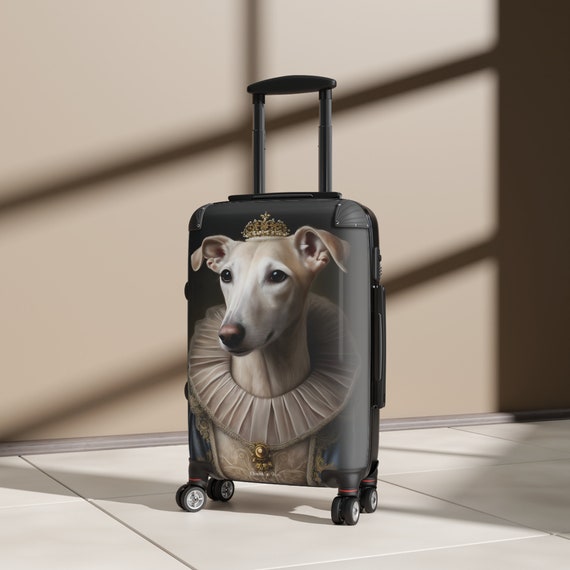 Suitcase Rolling Luggage Carry on Cabin Suitcase With Wheels Hard