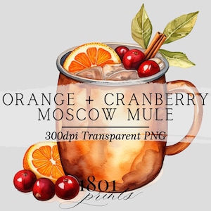 Herbstorange + Cranberry Cocktail Illustration || Clipart Grafik Download Aquarell Barkarte Hochzeitsgetränke AC529