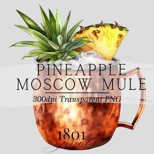 Ananas Cocktail Illustration || Clipart Grafik Download Aquarell Barkarte Hochzeitsgetränke AC531