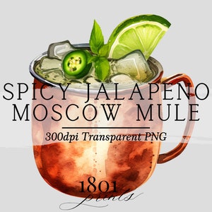 Würzige Jalapeno Cocktail Illustration || Clipart Grafik Download Aquarell Barkarte Hochzeitskarte Cocktail AC527