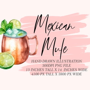 Mexikanische Mule Cocktail Grafik Illustration || Clipart digitaler Download Aquarell Bar Karte Hochzeit Cocktail Clipart AC0029