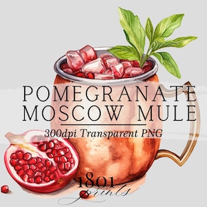 Granatapfel Cocktail Illustration || Clipart Grafik Download Aquarell Barkarte Hochzeitsgetränke AC534