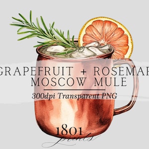 Grapefruit und Rosmarin Cocktail Illustration || Clipart Grafik Download Aquarell Barkarte Hochzeitsgetränke AC530