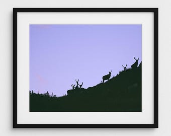 Elk Mountains Deer Silhouette Print • Mountain Wildlife Wall Art • Sunset Deer Digital Download • Nature Landscape Printable Decor