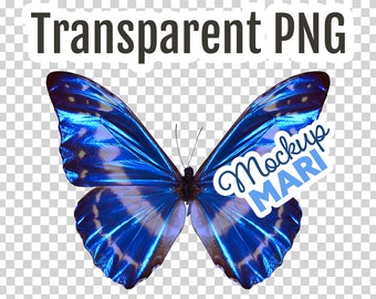 Blue Butterfly PNG Transparent Butterfly Clip Art Cutout Butterfly Transparency Digital File Instant Download Hi-Res Clipart Butterflies