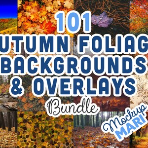 Könnte beinhalten: Eine Collage aus 101 Herbstlaub-Hintergründen und -Überlagerungen. Die Bilder zeigen eine Vielzahl von Herbstfarben, darunter Rot, Orange, Gelb und Braun. Die Bilder sind perfekt, um Ihren Designs einen Hauch von Herbst zu verleihen.