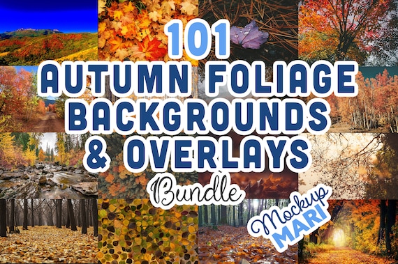 100 Autumn Backdrop Digital JPG Fall Backgrounds Overlay Foliage Falling Leaves Scenic Landscape Texture 300dpi High-Res Quality JPEG Bundle