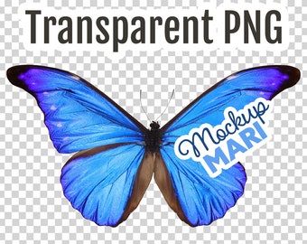 Blue Butterfly PNG Transparent Butterfly Clip Art Cutout Butterfly Transparency Digital File Instant Download Hi-Res Clipart Butterflies