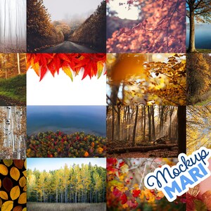 May include: A collage of 12 images showcasing the beauty of autumn foliage. The images feature various shades of red, orange, yellow, and brown leaves on trees, as well as a few images of roads and a lake.