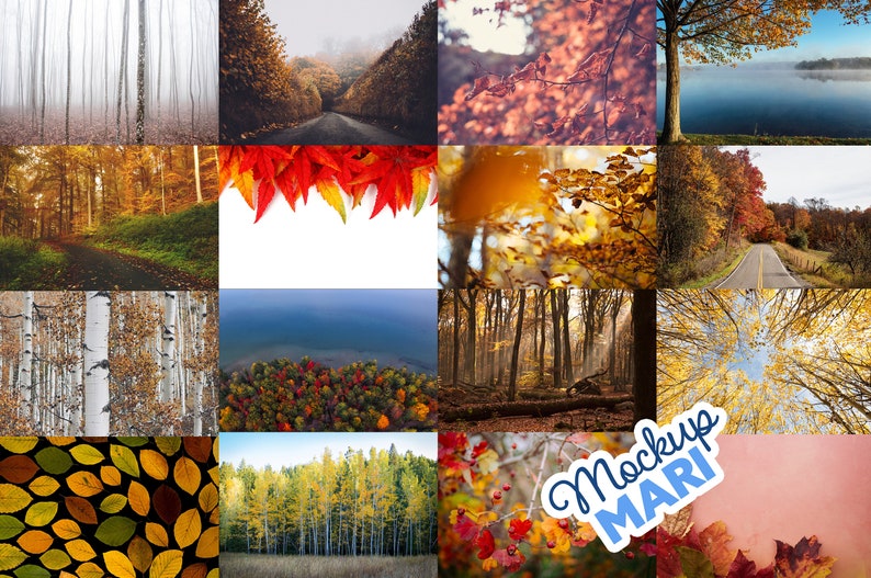 May include: A collage of 12 images showcasing the beauty of autumn foliage. The images feature various shades of red, orange, yellow, and brown leaves on trees, as well as a few images of roads and a lake.