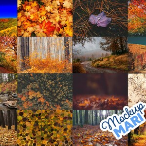 May include: A collage of 12 images showcasing the beauty of autumn foliage. The images feature various shades of red, orange, yellow, and brown leaves, as well as trees, forests, and paths. The images are arranged in a grid pattern, creating a visually appealing and harmonious composition.