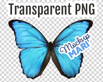 Blue Butterfly PNG Clip Art Butterfly Transparent Cutout Butterfly Transparency Digital File Instant Download Hi-Res Clipart Butterflies