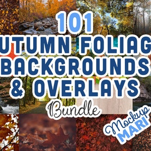 Könnte beinhalten: Eine Collage aus 101 Herbstlaub-Hintergründen und -Überlagerungen. Die Bilder zeigen verschiedene Farbtöne von roten, orangefarbenen, gelben und braunen Blättern sowie Bäche, Wasserfälle und Wälder. Der Text "101 Autumn Foliage Backgrounds & Overlays Bundle" ist in blauen Buchstaben auf weißem Hintergrund dargestellt.