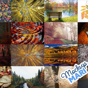 May include: A collage of 12 autumnal forest scenes. The images feature trees with colorful leaves, a lake, a path, a bench, and a road. The word "Mockup MARI" is written in blue on a white sticker in the lower right corner.