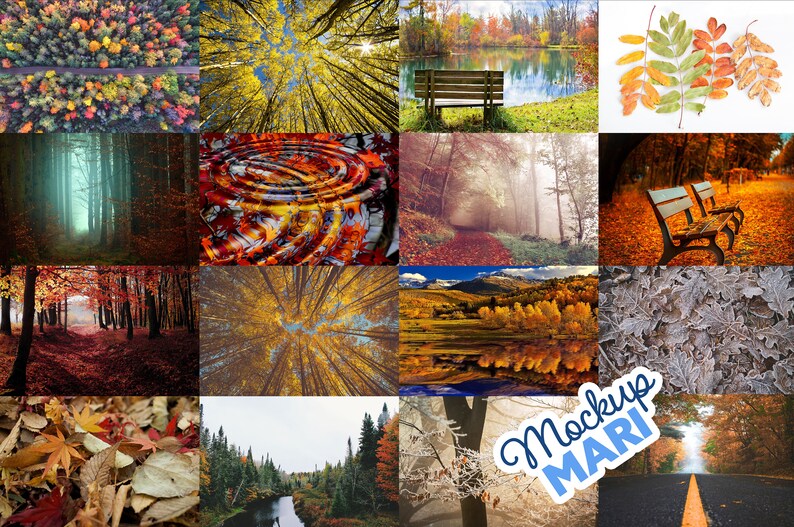 May include: A collage of 12 autumnal forest scenes. The images feature trees with colorful leaves, a lake, a path, a bench, and a road. The word "Mockup MARI" is written in blue on a white sticker in the lower right corner.