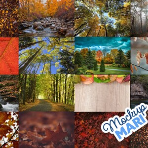 May include: A collage of autumnal images featuring a variety of fall foliage, including red, orange, and yellow leaves. The images also include a stream, a waterfall, and a path through a forest. The text "Mockup MARI" is visible in the lower right corner of the image.