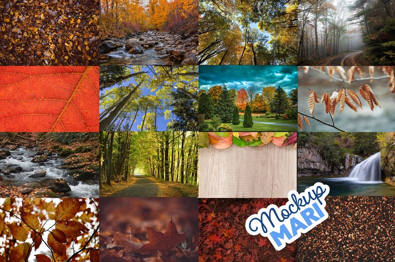 May include: A collage of autumnal images featuring a variety of fall foliage, including red, orange, and yellow leaves. The images also include a stream, a waterfall, and a path through a forest. The text "Mockup MARI" is visible in the lower right corner of the image.