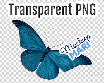 Blue Butterfly PNG Transparent Butterfly Clip Art Cutout Butterfly Transparency Digital File Instant Download Hi-Res Clipart Butterflies