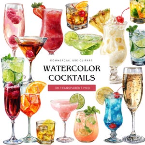 Cocktail Clipart Set: Summer Drinks, Tropical Fruits (PNG Digital Download)