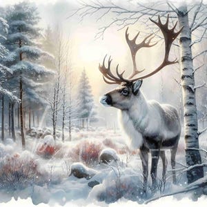 11 JPG renne scène des bois clipart hiver forêt illustration animale scène carte postale carte de Noël décor sublimation feuille de journal indésirable
