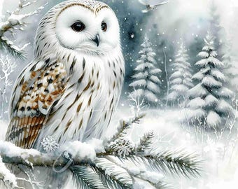Winter Owl Clipart Set: Snowy Forest Scene, Christmas Card Decor (JPG Digital Download)