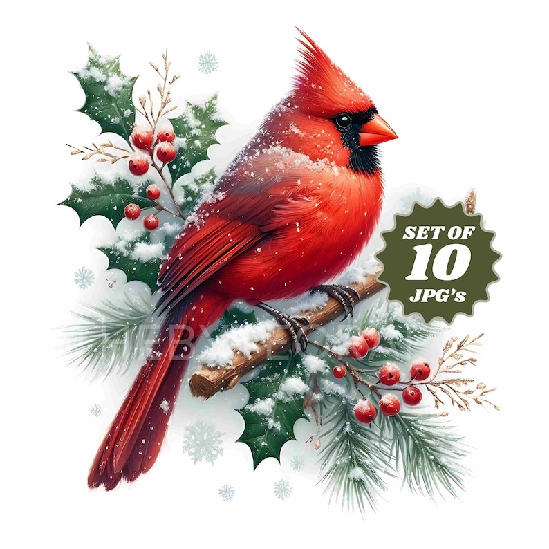 Whimsy Cardinal Vector Christmas Cardinal Watercolor Clipart Bundle: Whimsical JPG Images - Etsy