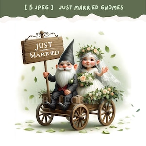 Gnomo recém-casado, casal de gnomos rosa, conjunto de clipart de gnomos para casamento, admiradores de gnomos, design de sublimação, gnomos de casamento, impressão de casamento