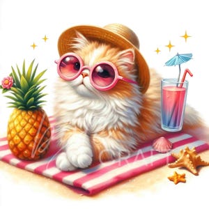 12 cliparts de chat d'été de plage mignon chat orange JPG lunettes de soleil Kawaii océan art animalier indésirable journal carte postale Invitation sublimation décoration de chambre d'enfant