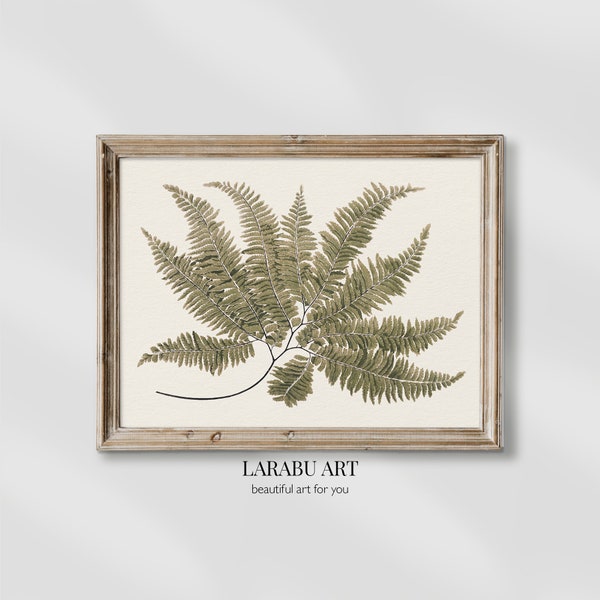 Botanical Vintage Fern Painting, Antique Art Print, Digital Download, PRINTABLE Download, Modern Farmhouse wall decor #0002