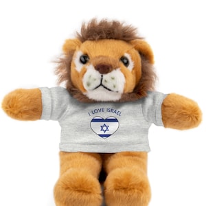 Może przedstawiać: Pluszowy lew z brązową grzywą i ciałem, ubrany w szarą koszulkę. Na koszulce widnieje napis "I LOVE ISRAEL" nad niebiesko-białym sercem z Gwiazdą Dawida. Zabawka ma wyciągnięte ramiona.