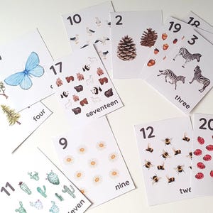 Nature Number Flashcards 1-20, Preschool Printables, Homeschool Resources, Montessori Flashcards, Educational, Classroom, Number Flashcards image 2