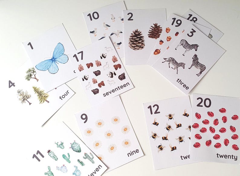 Nature Number Flashcards 1-20, Preschool Printables, Homeschool Resources, Montessori Flashcards, Educational, Classroom, Number Flashcards image 2